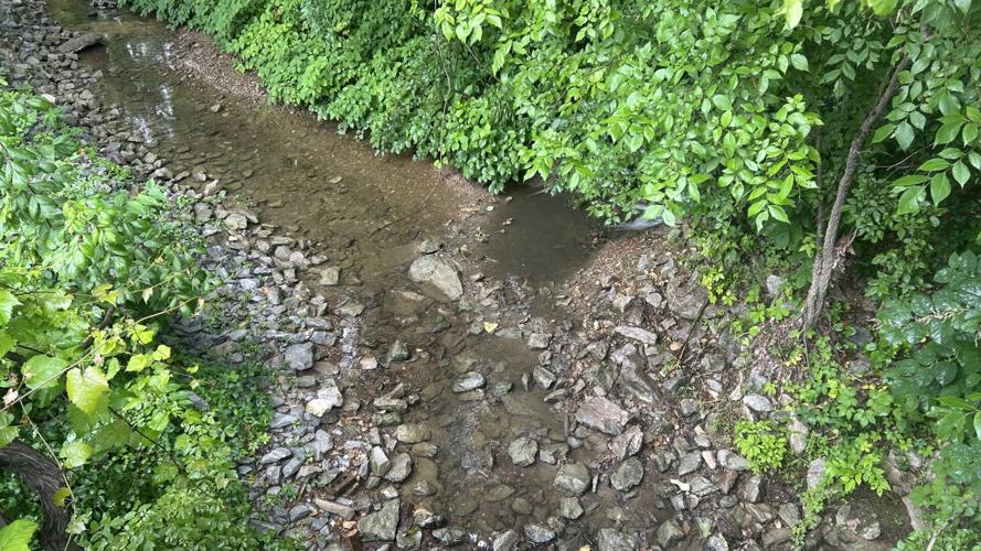 New Albany creek paint situation.jpg