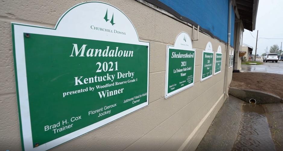 Brad Cox Profile-- Signs.jpg