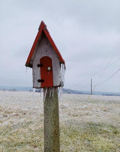 Lebanon Ice Bird Feeder.jpg