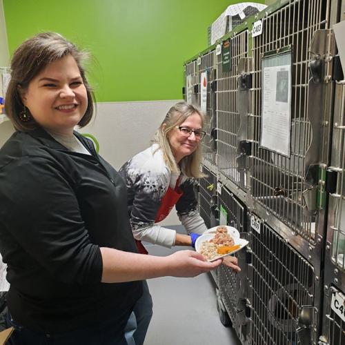 Shelter holiday meal