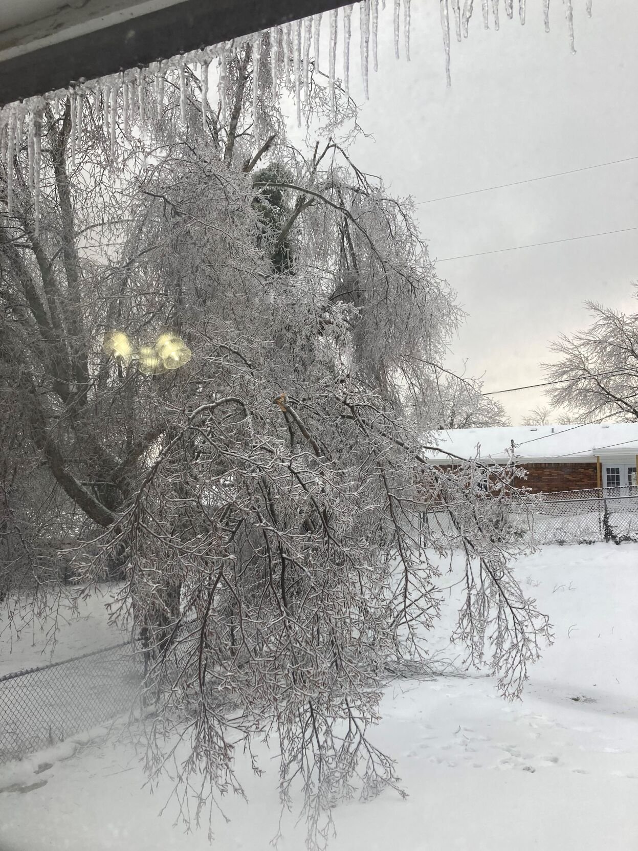 ICE - Elizabethtown - Mary Heidelberg - 1-6-2025 2.jpg