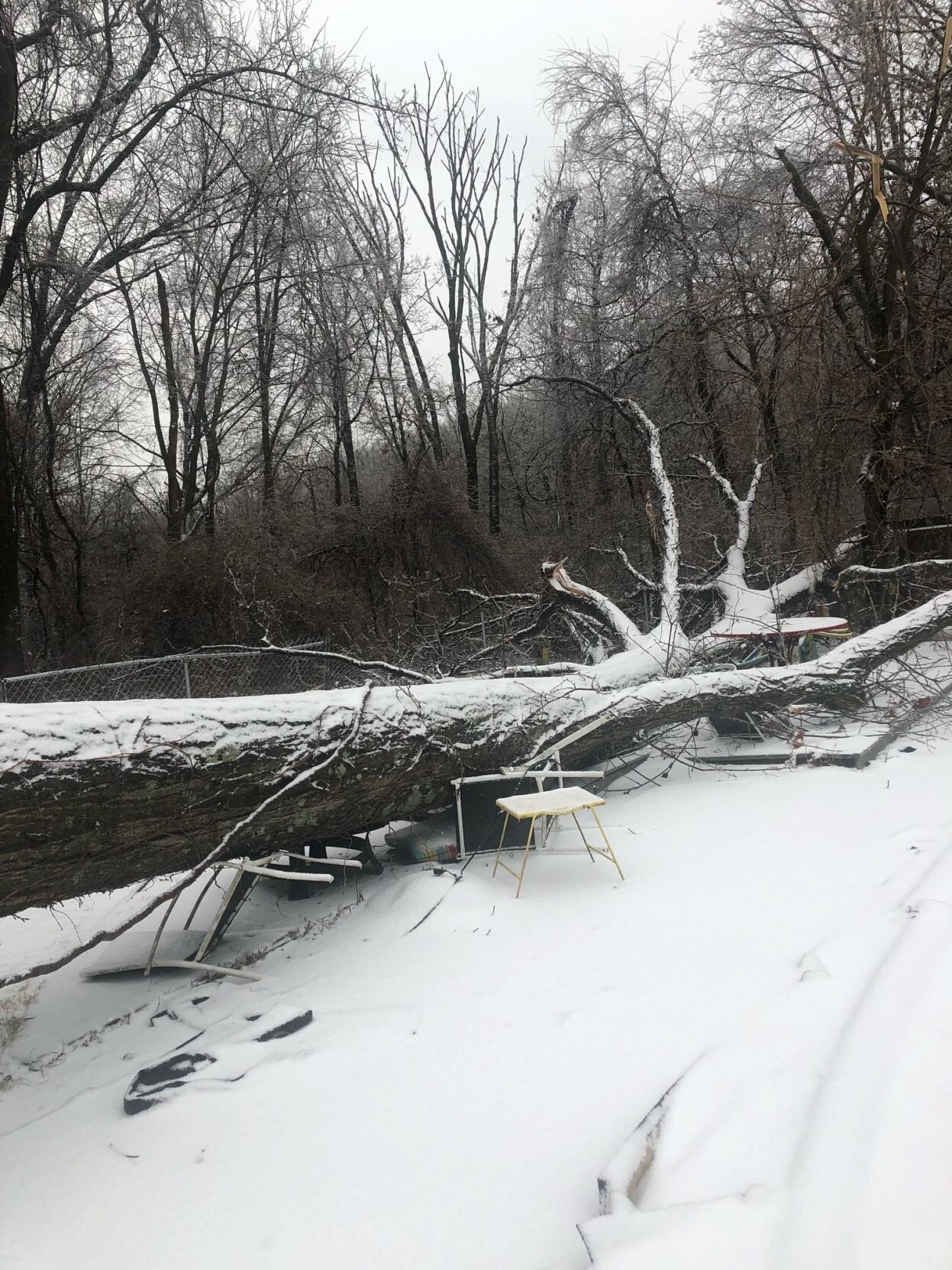 ICE RECOVERY - 2-4-2022 - NEAR IROQUOIS PARK - JEN AND TED SOLINGER 1.jpg