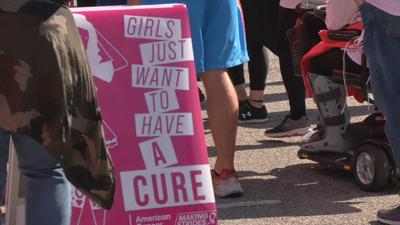 Making Strides Against Breast Cancer Walk