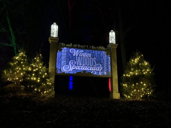 Winter Woods Spectacular (1).JPG