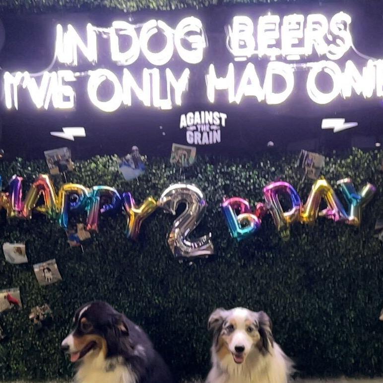 In Dog Beers I've Only Had One Koozie – The Social Dawg