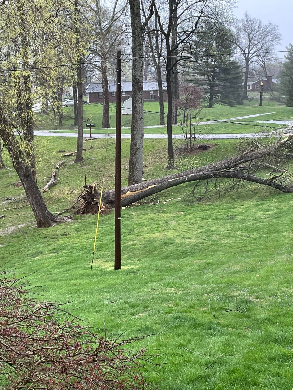 MATT VOGEL - STORM DAMAGE - CORYDON - APRIL 5, 2023.jpg
