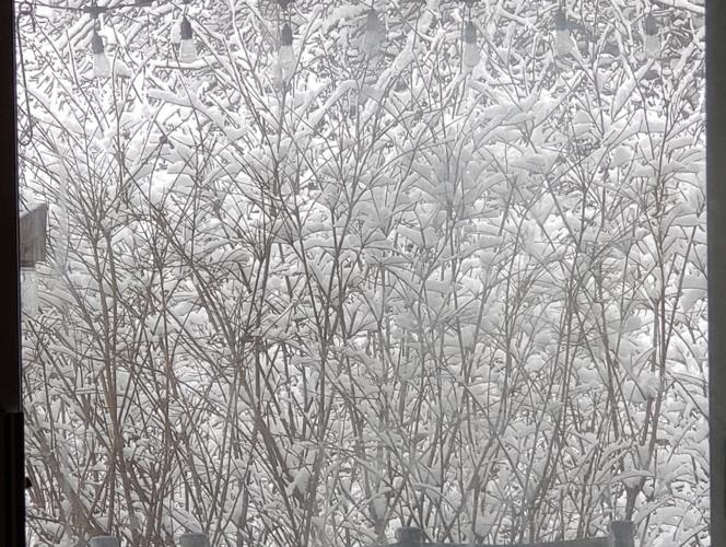 Snow in Mount Washington