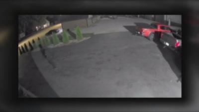 Vehicle break-ins in Bardstown