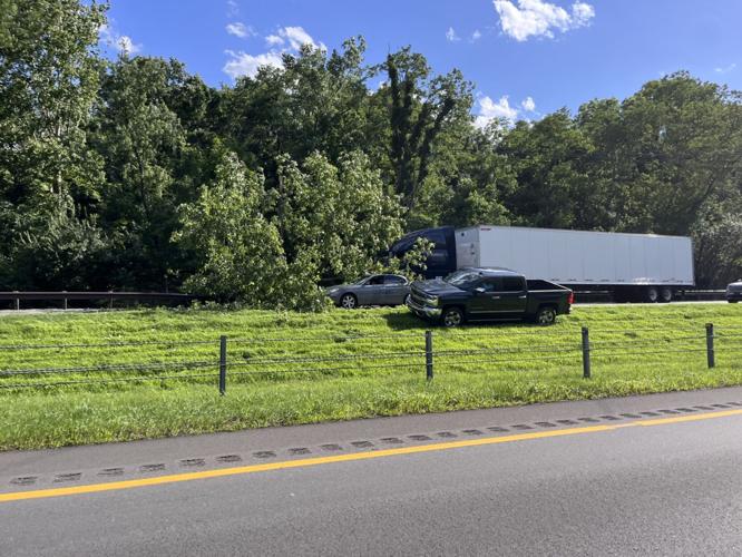 I-64 fallen tree 2.jpg