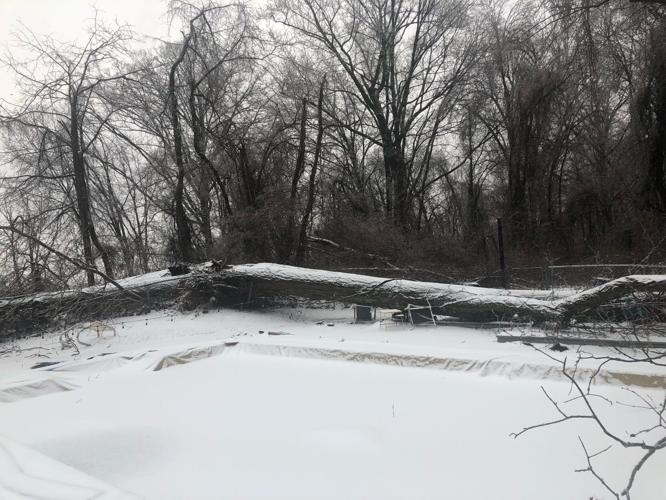 ICE RECOVERY - 2-4-2022 - NEAR IROQUOIS PARK - JEN AND TED SOLINGER 2.jpg
