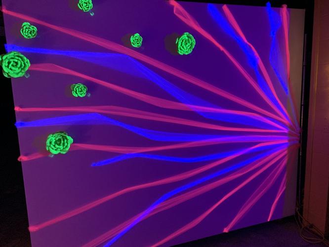 BLACKLIGHT ART - KEITH KAISER - CREATIVE IMPACT 8-2-19   (16).jpg