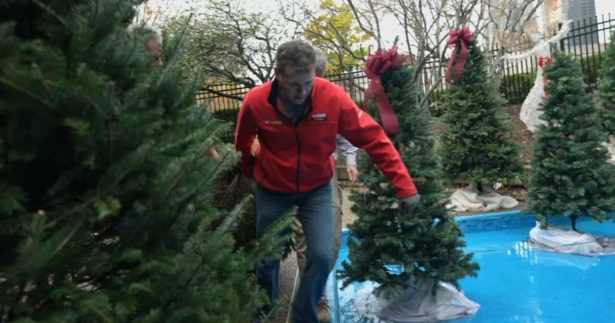 Wdrb Exploding Tree A look back at the origins of Jude's Jingle Tree | | wdrb.com
