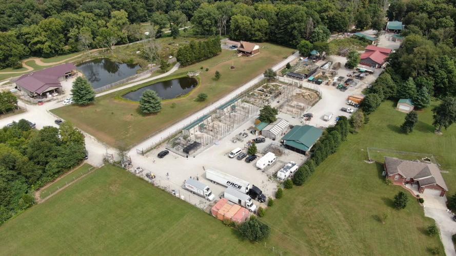 WILDLIFE IN NEED DRONE (1).JPG