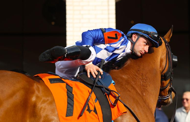Jockey rises on the horse.JPG