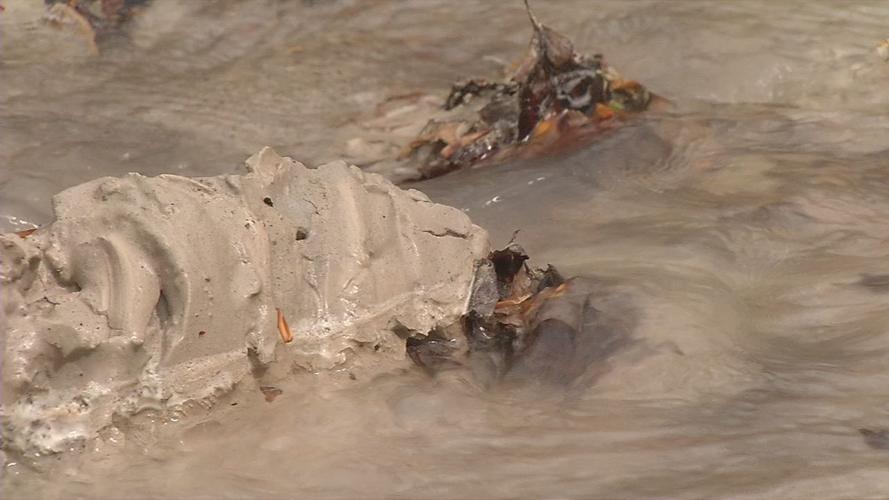 Sludge in Blue Lick Creek