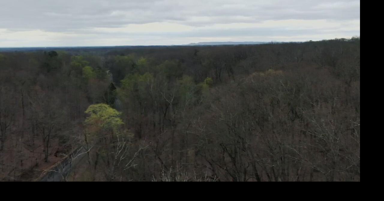 ISP says search for identity of 5yearold boy found in suitcase is