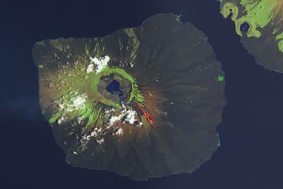 An Eruption for Galápagos Iguanas