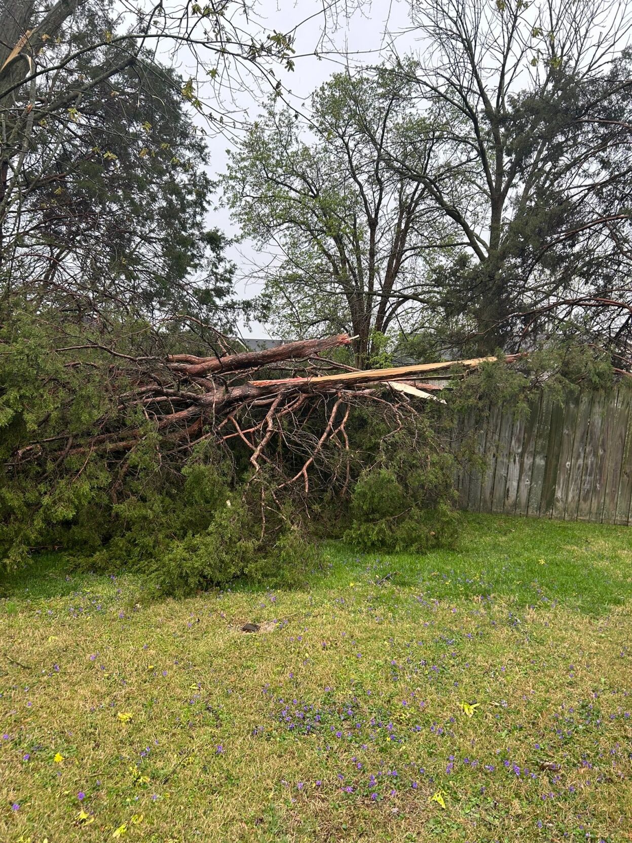 JOHNNY HUERTA - STORM DAMAGE - NATIONAL TURNPIKE - APRIL 5, 2023 2.jpg