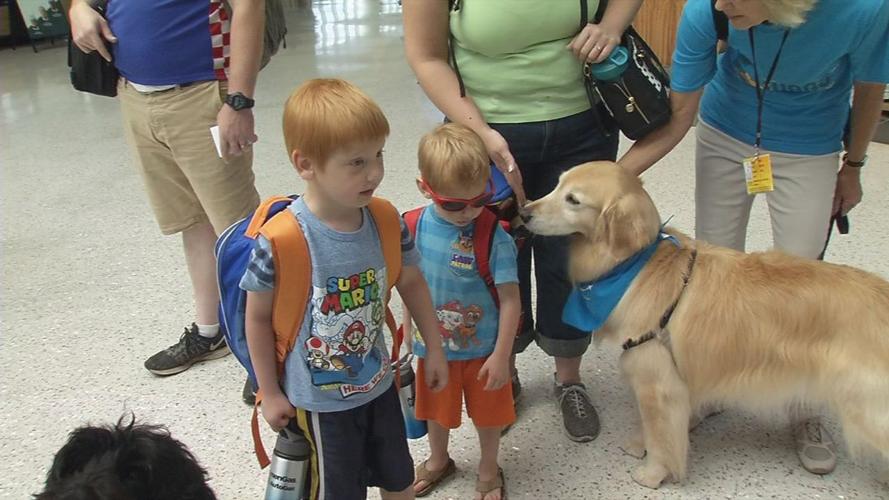 Dogs with Children at Airport