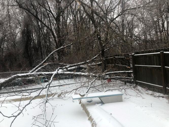 ICE RECOVERY - 2-4-2022 - NEAR IROQUOIS PARK - JEN AND TED SOLINGER 3.jpg