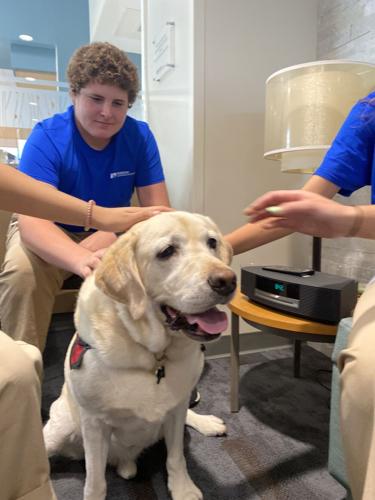 Norton Audubon Hospital holds birthday 'paw-ty' for beloved facility dog |  Business 