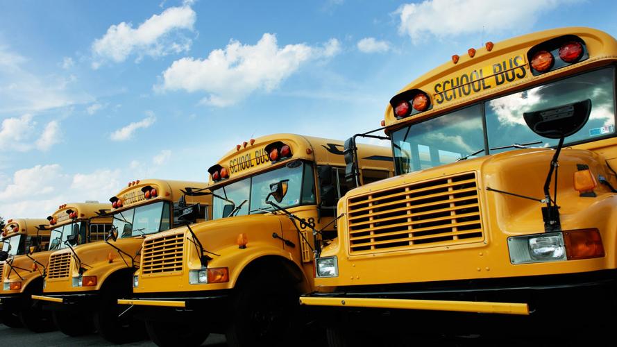 wide_school buses.jpg