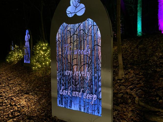 Winter Woods Spectacular (2).JPG