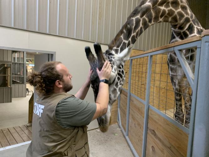 Wilstem Wildlife Park