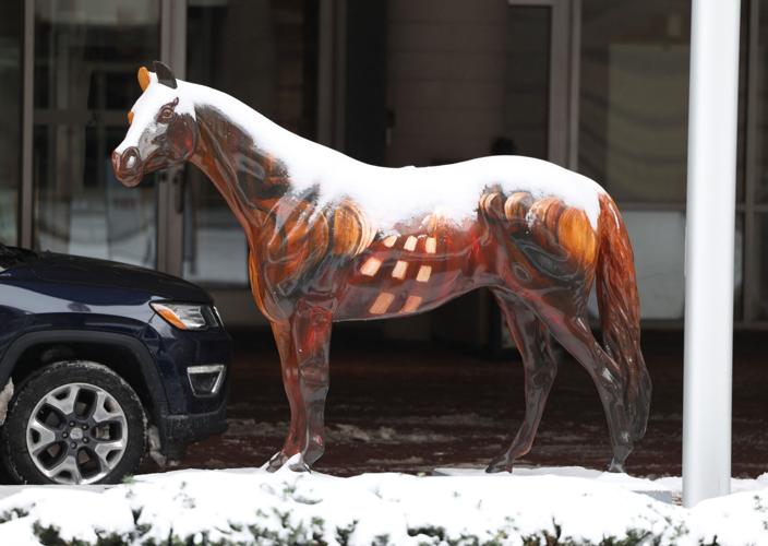 Marriot horse with  snow.JPG
