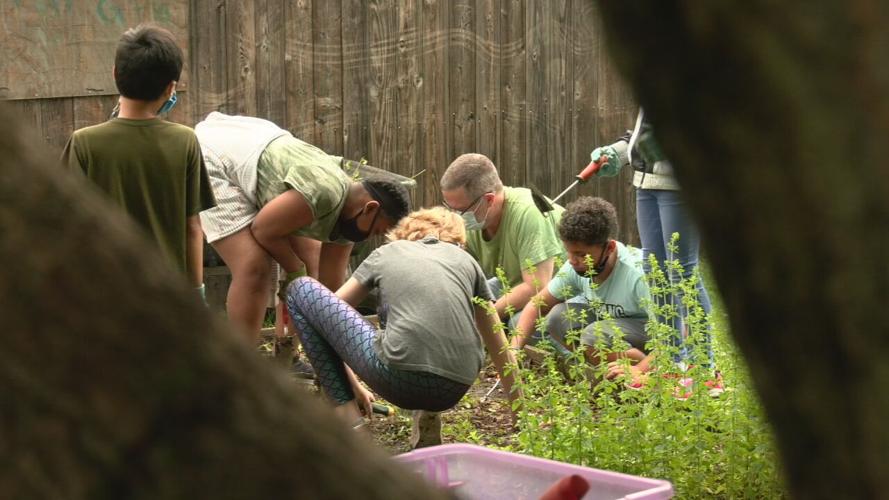 CABBAGE PATCH GARDEN .jpeg
