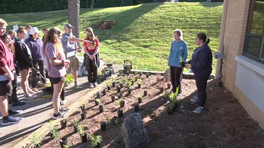 BELLARMINE BUTTERFLY GARDEN.jpeg