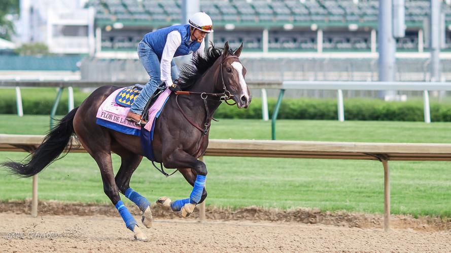 Training - Flor De La