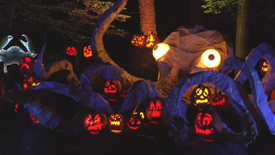 Jack O'Lantern Spectacular 9-30-21 (5).jpeg