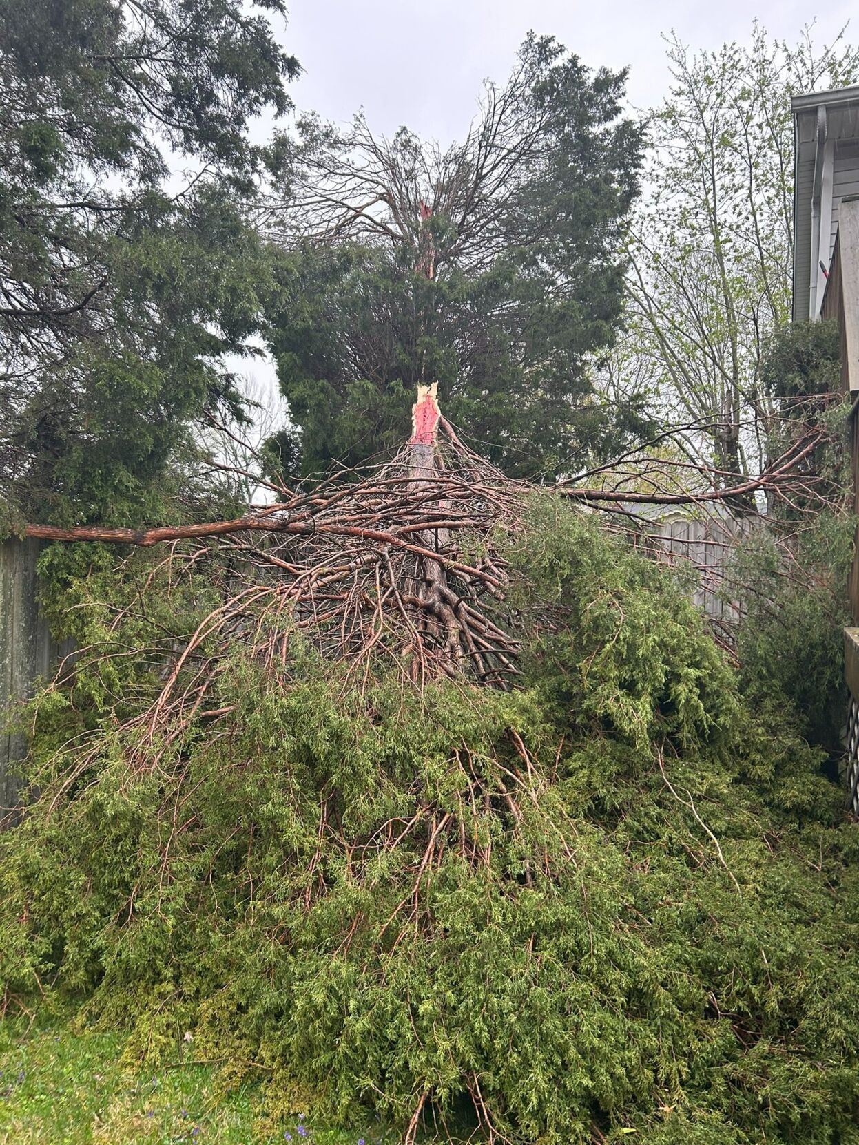 JOHNNY HUERTA - STORM DAMAGE - NATIONAL TURNPIKE - APRIL 5, 2023.jpg