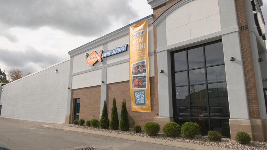 GOLDFISH SWIM SCHOOL OPENS  (1).jpeg