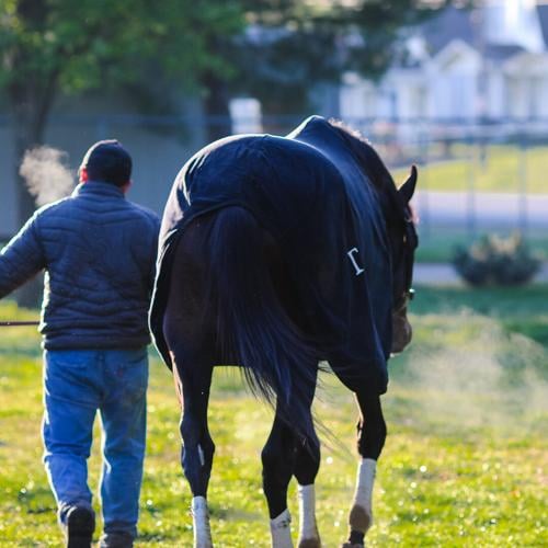 Chilly morning at barn.jpg