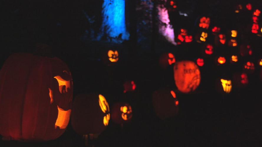 Jack O'Lantern Spectacular 9-30-21 (4).jpeg