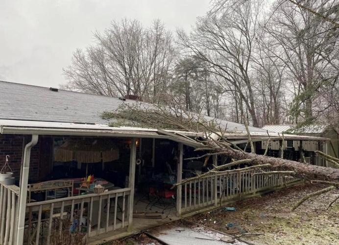 ICE RECOVERY - 2-4-2022 TREE ON HOUSE - Borden, near Deam Lake. Angela Diehl Forman 1.jpg
