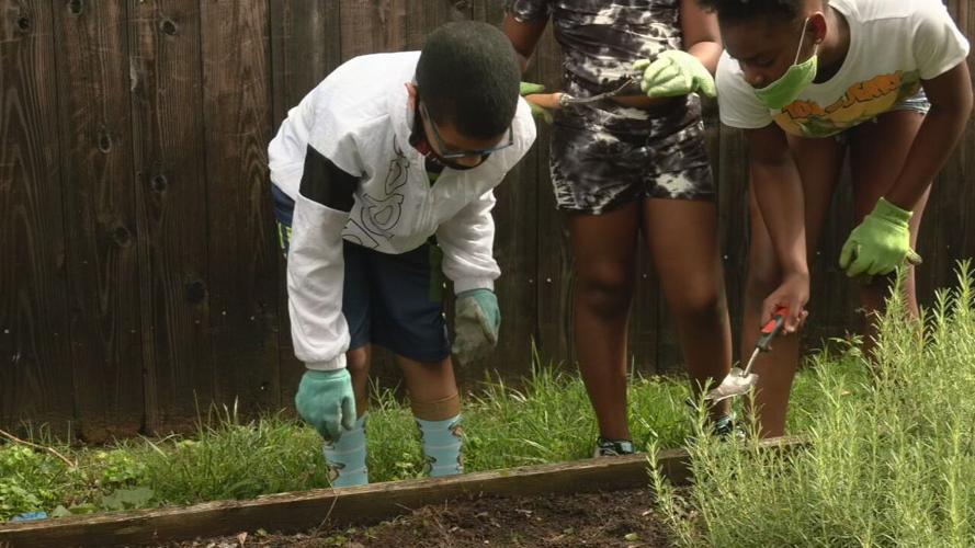 CABBAGE PATCH GARDEN.jpeg