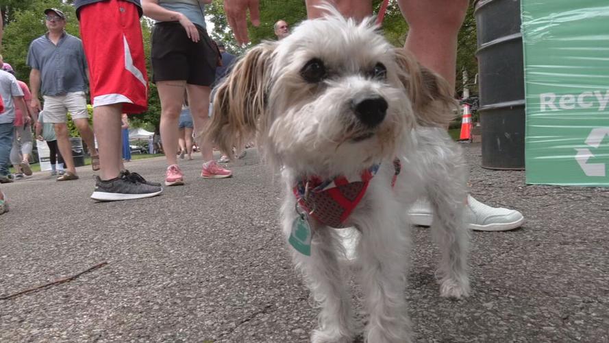 LOCAL JULY 4TH CELEBRATIONS