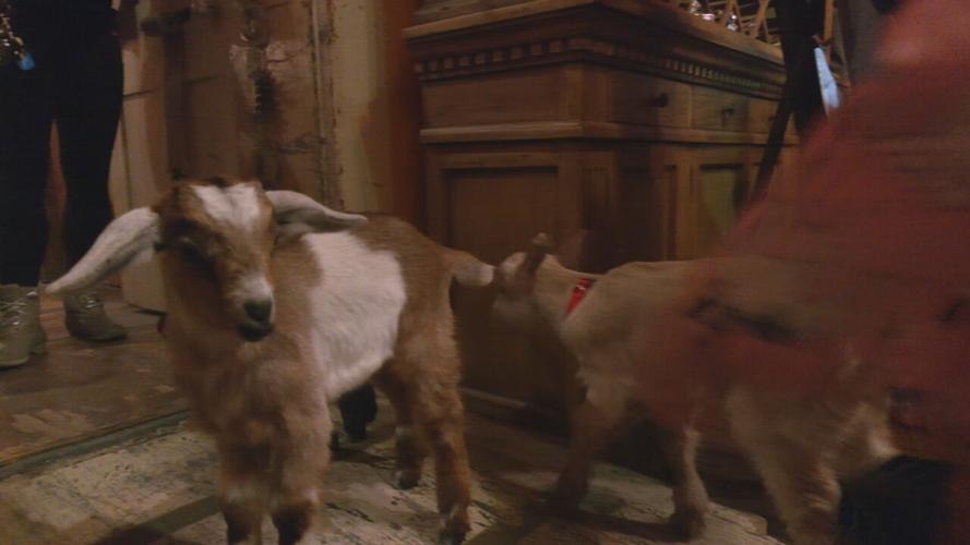 NULU BOCK FEST LAUNCH PARTY.jpeg