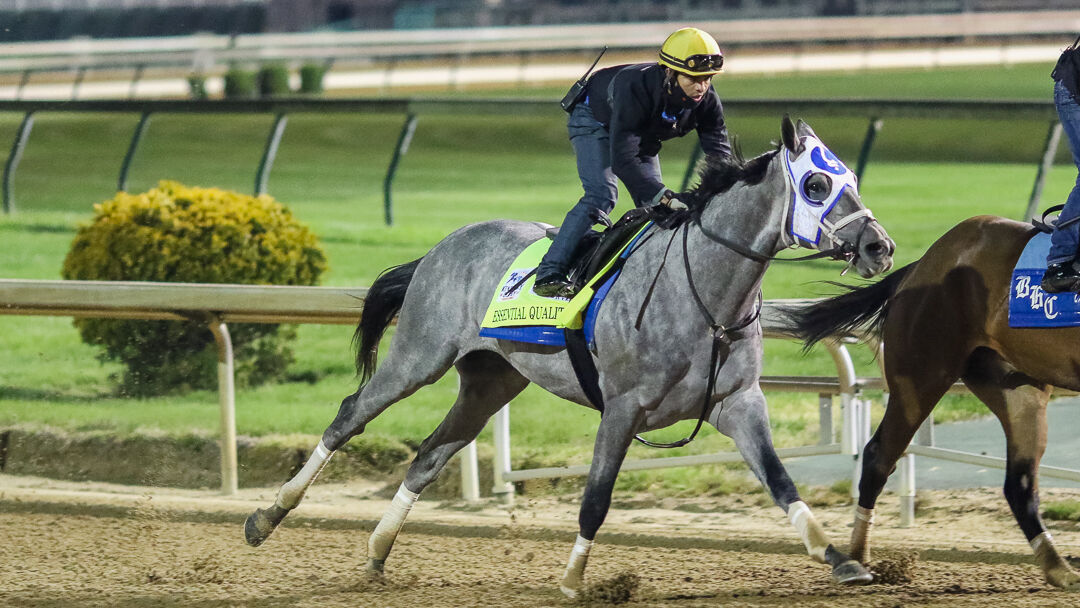 IMAGES | Kentucky Derby hopefuls train at Churchill Downs | Derby 147 | wdrb.com