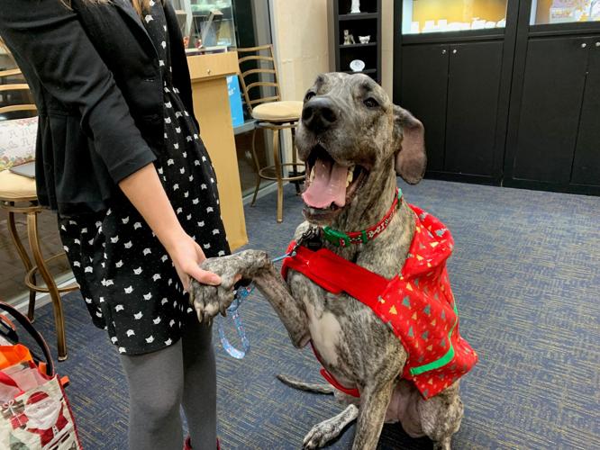 keith pearls and puptails 12-15-21 (3).jpg