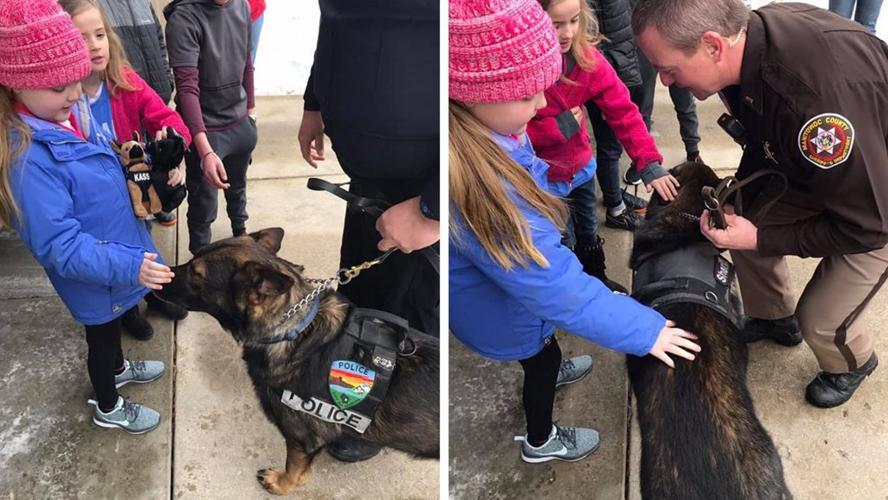 Wisconsin police dogs