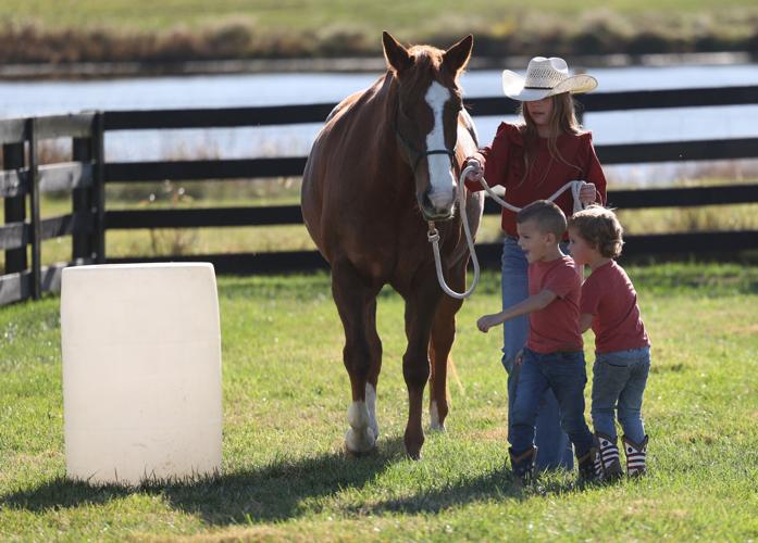 Meet the Horses