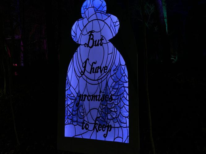 Winter Woods Spectacular (3).JPG