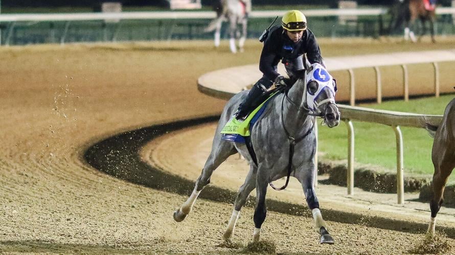 Essential Quality 2.jpg