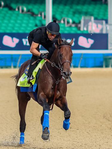 Training - Game Winner
