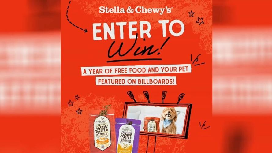 Stella & Chewy's holding national contest for pets to be featured on Stella & Chewy's holding national contest for pets to be featured on