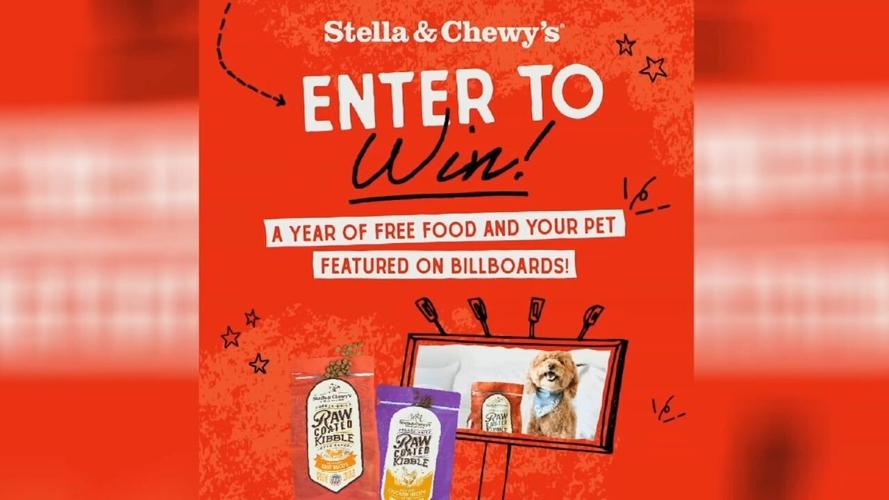 Stella & Chewy's holding national contest for pets to be featured on